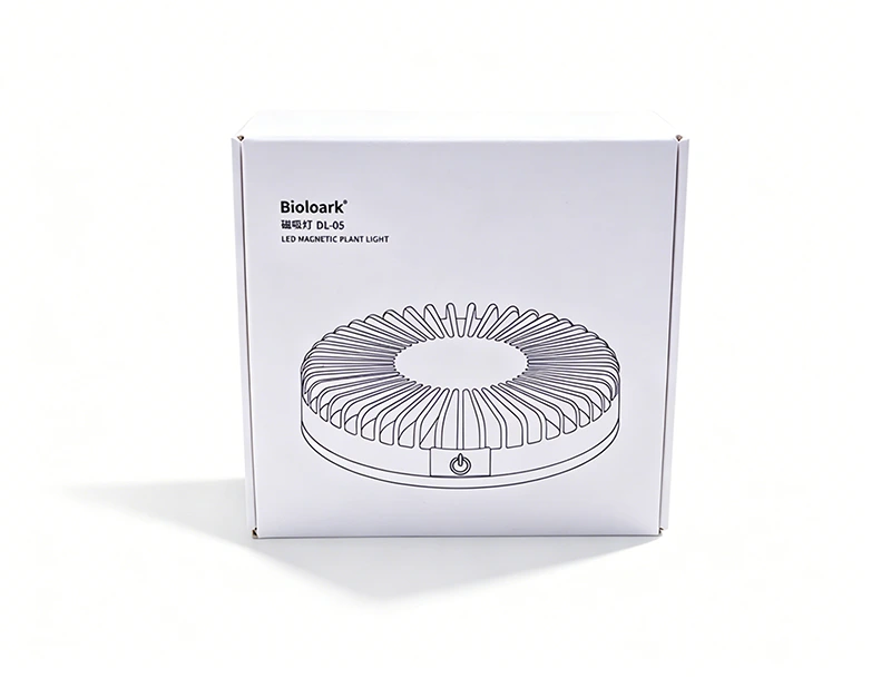 White Cardboard Shipping Boxes