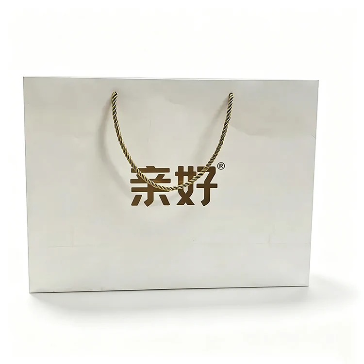 White Paperboard Apparel Packaging Bags